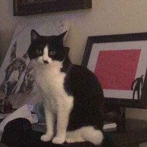 Meet your Posher, Jan